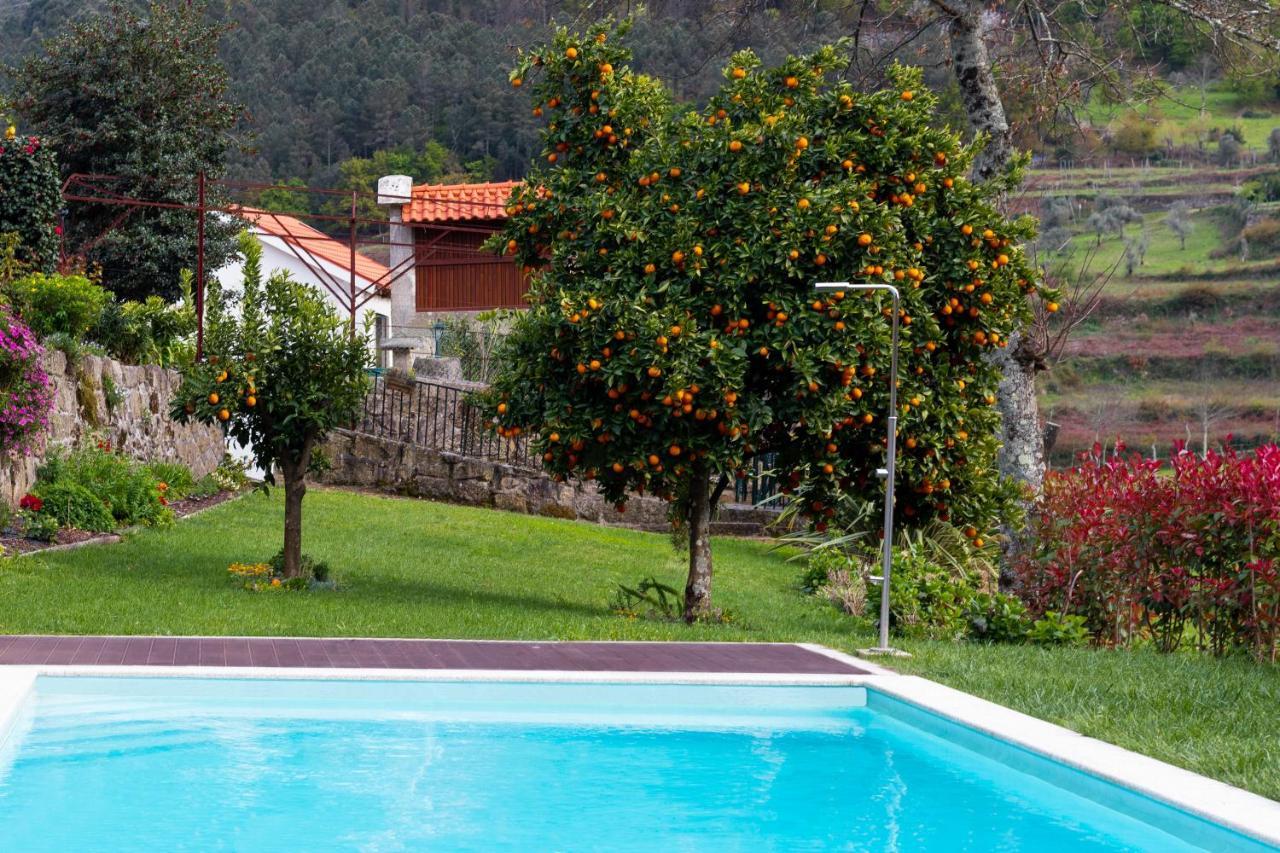 Вілла Quinta Do Tapadinho - Wine & Tourism Moimenta Екстер'єр фото