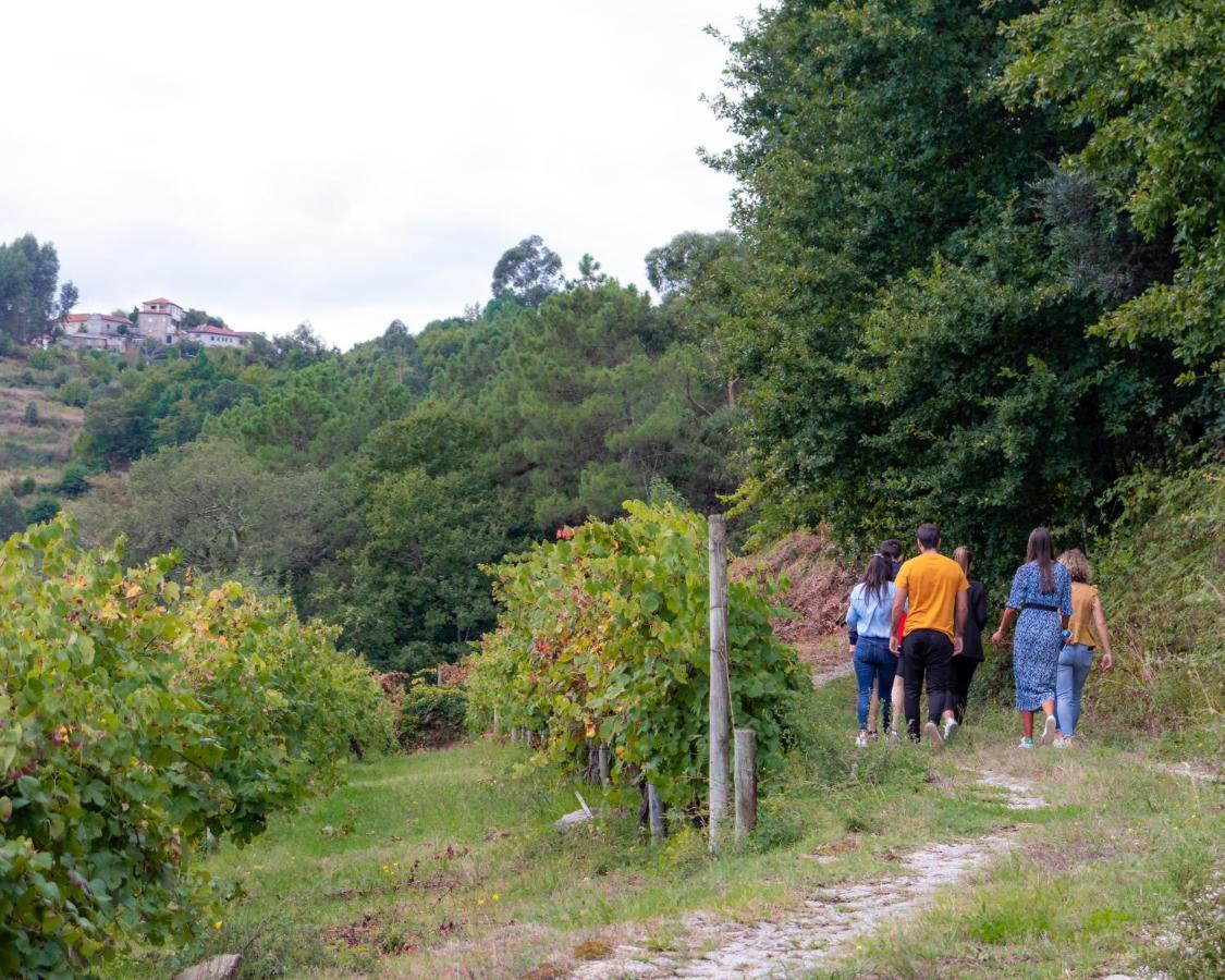 Вілла Quinta Do Tapadinho - Wine & Tourism Moimenta Екстер'єр фото