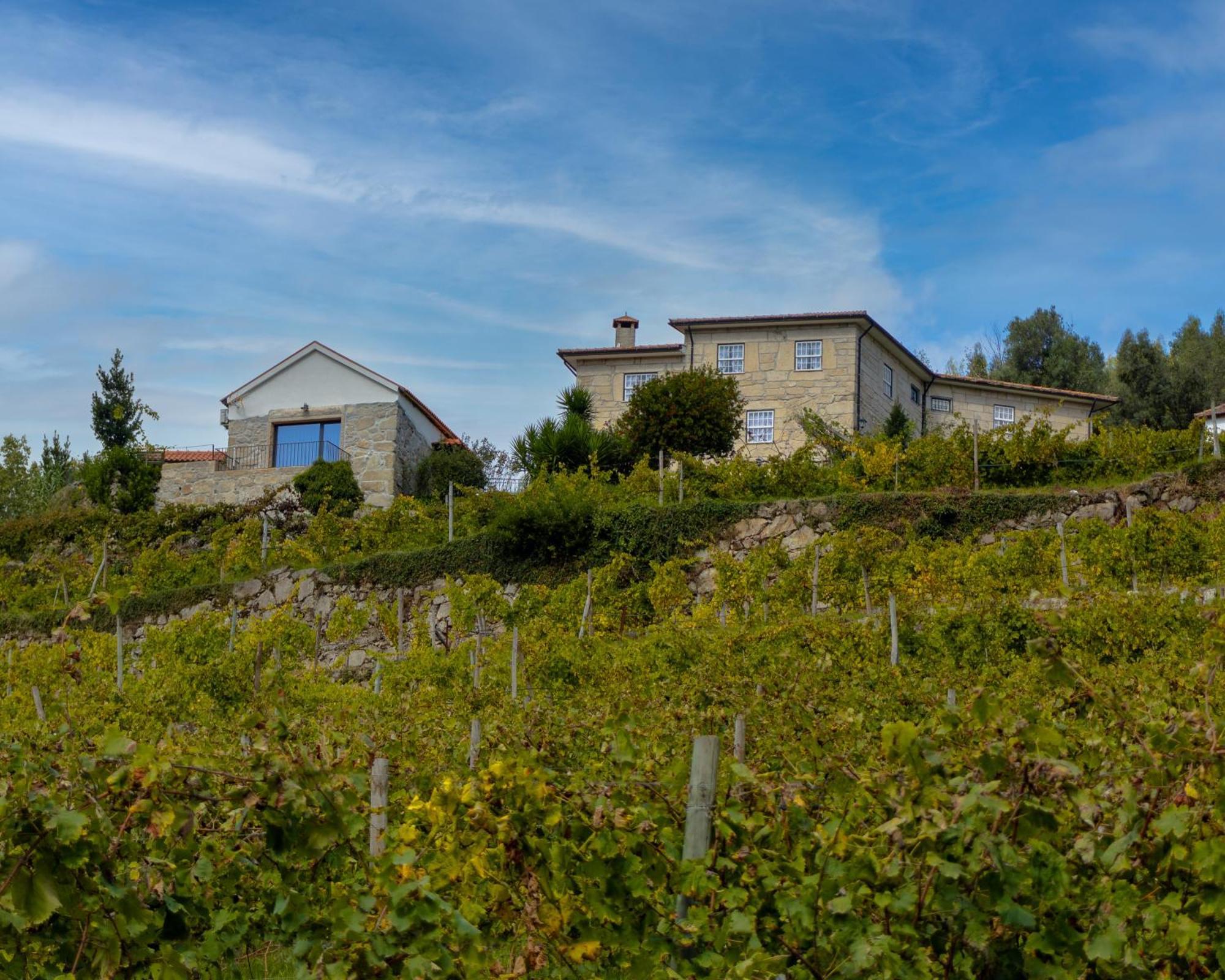 Вілла Quinta Do Tapadinho - Wine & Tourism Moimenta Екстер'єр фото