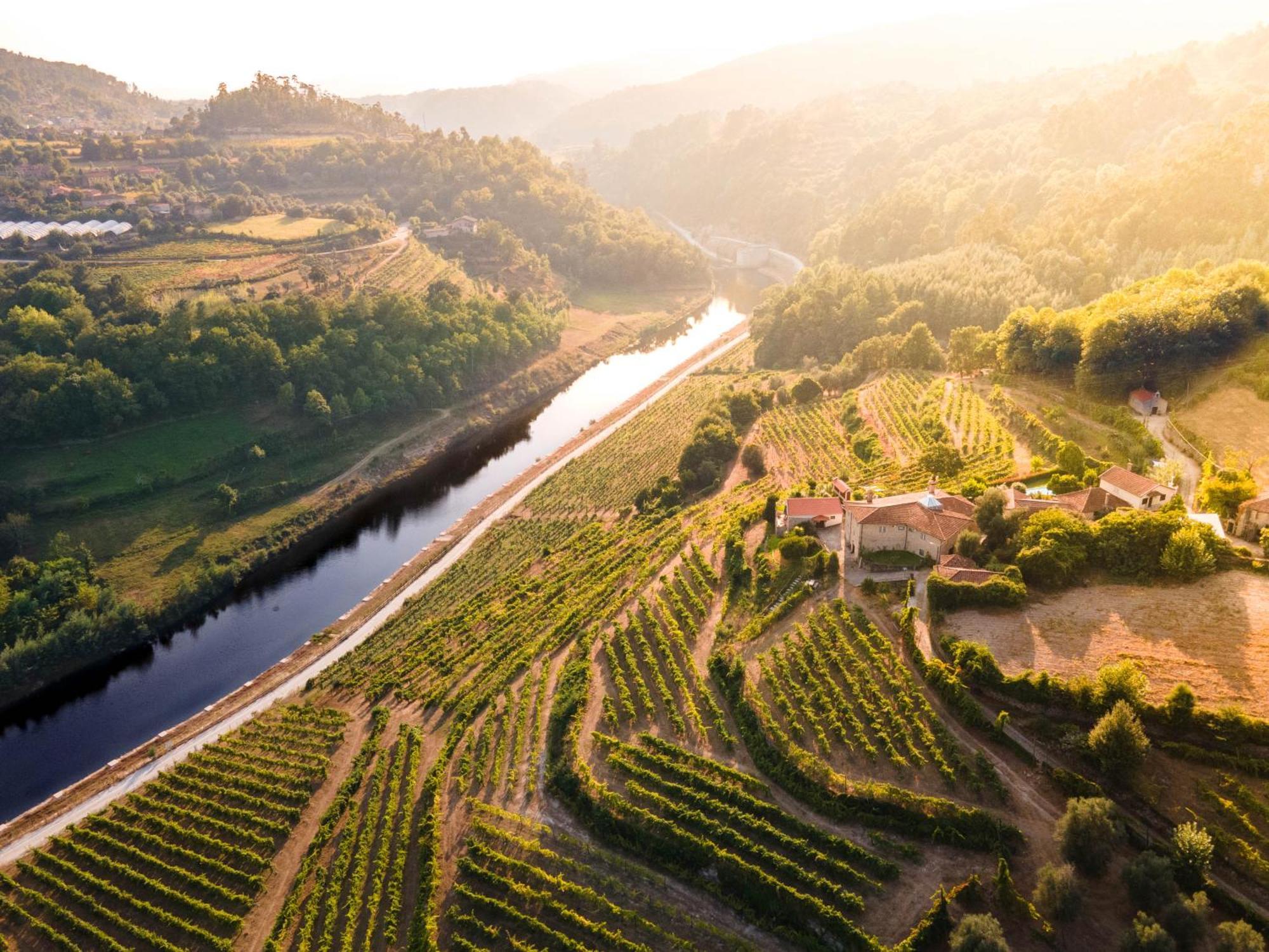 Вілла Quinta Do Tapadinho - Wine & Tourism Moimenta Екстер'єр фото